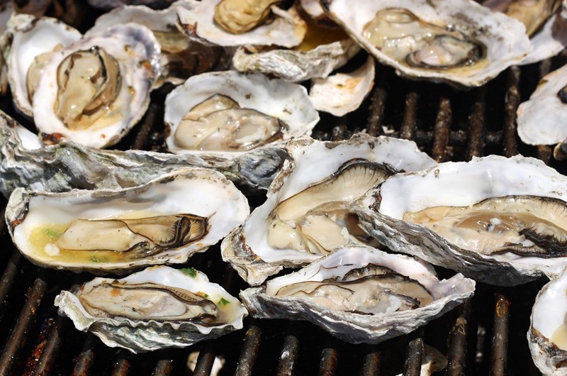 RV Rally and Seafood Festival Photo