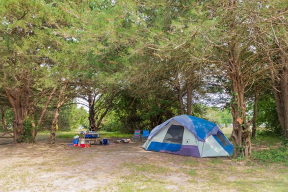 Spacious, secluded tent sites!