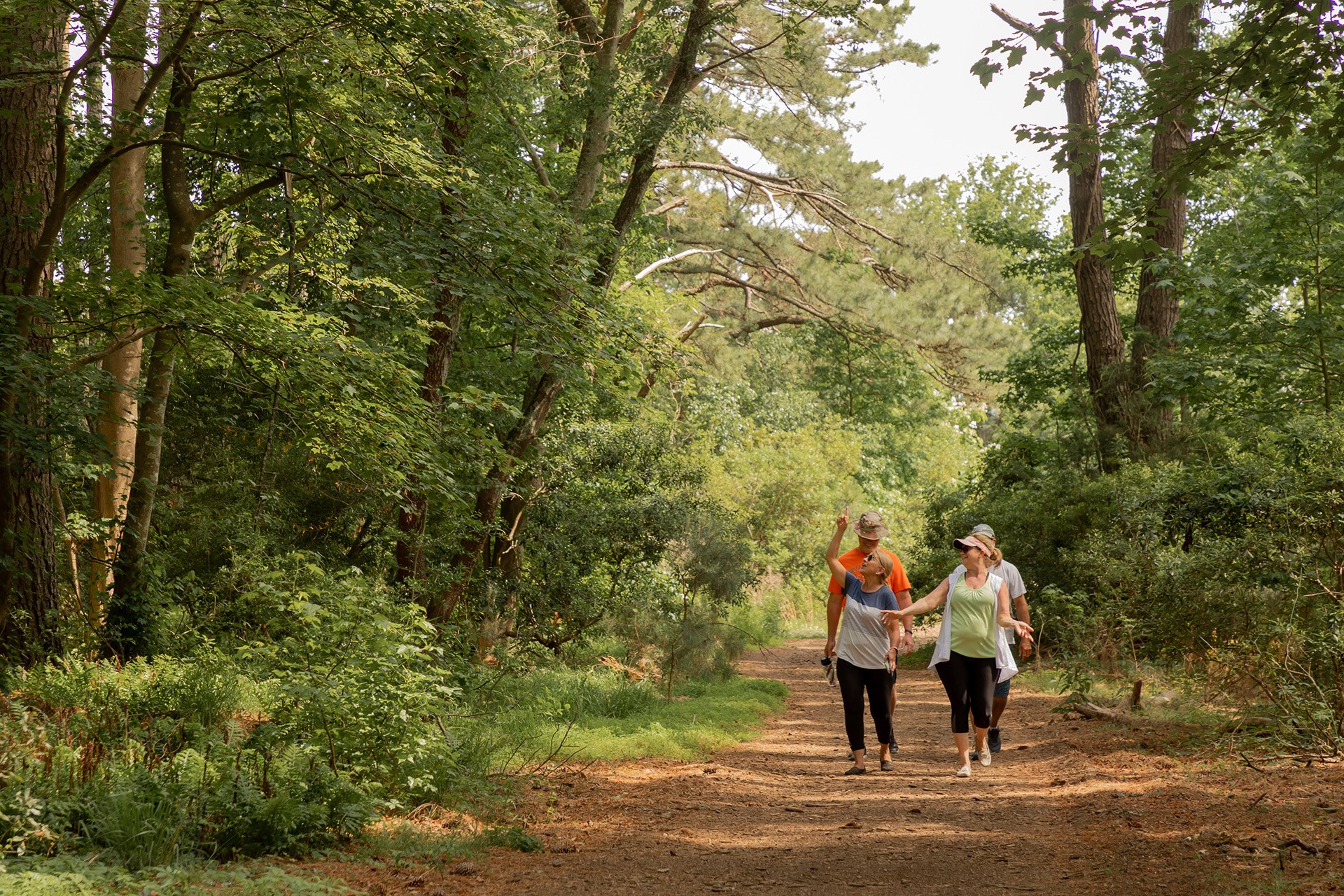Local Attractions Outer Banks - 33186sectionheaders432ff76f Dd96 4492 9872 9956ae5eb6ee 