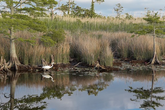 Plan a trip to Roanoke Rapids, North Carolina