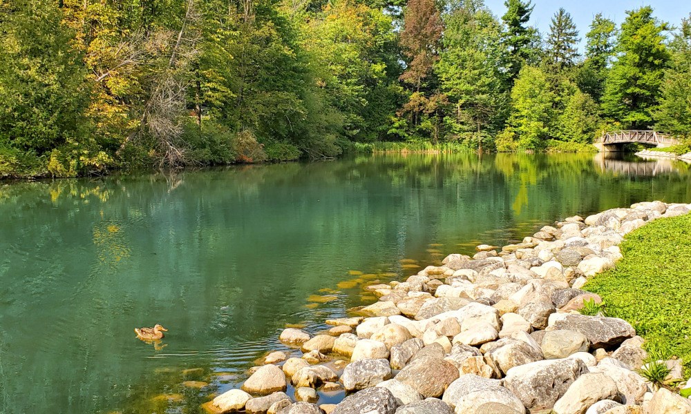 Kayaking in Owen Sound