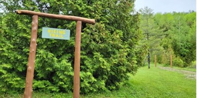 Hiking in Owen Sound: Trails to Explore