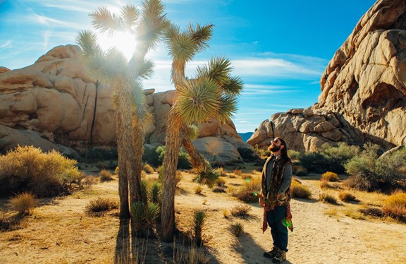 Joshua Tree National Park