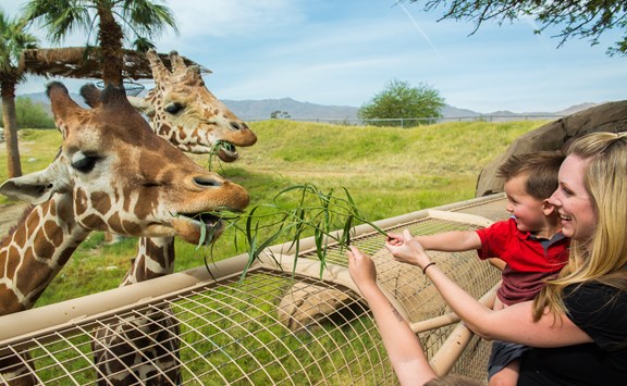 Living Desert Zoo & Gardens