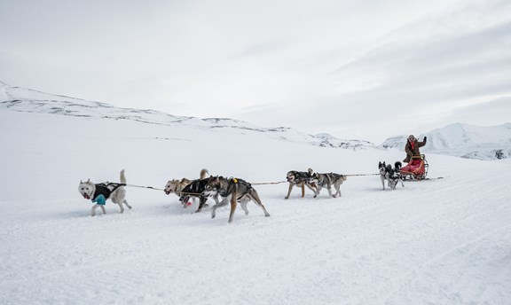 Iditarod Trail Sled Dog Race Headquarters