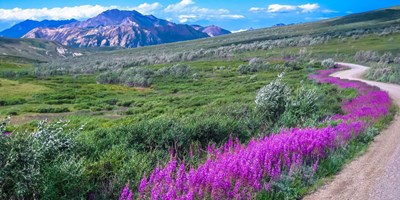 Headed to Denali? Make Palmer KOA Your Adventure Basecamp