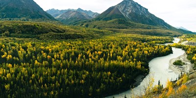 First-Timer's Guide: Pack for Your Alaskan Camping Trip