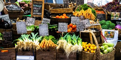 Matanuska Community Farmers Market