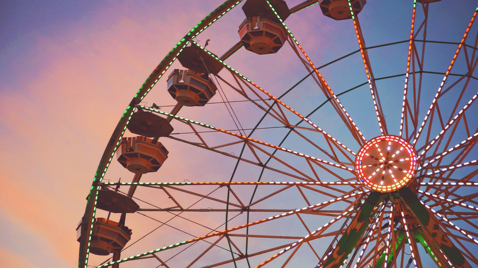 Alaska State Fair Photo