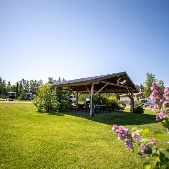 Plan a trip to Willow, Alaska