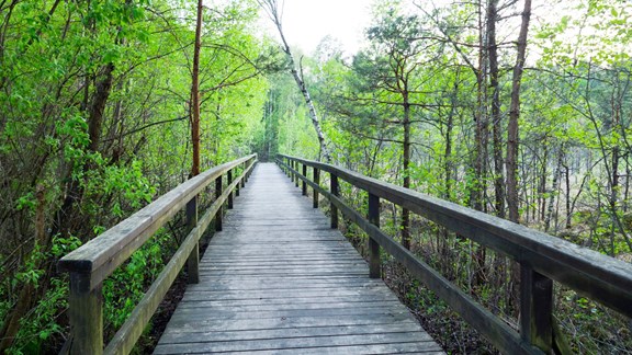 Conservation Park