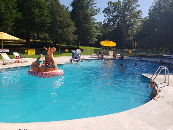 Swimming Pool and Pavilion area