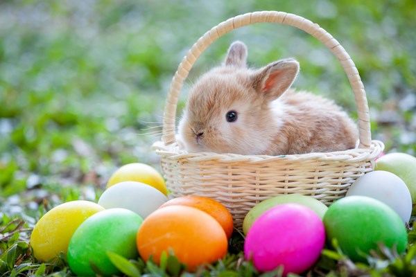 3rd annual Easter Eggstravaganza Photo
