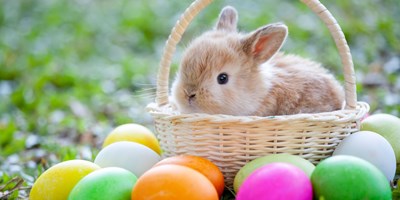 3rd annual Easter Eggstravaganza