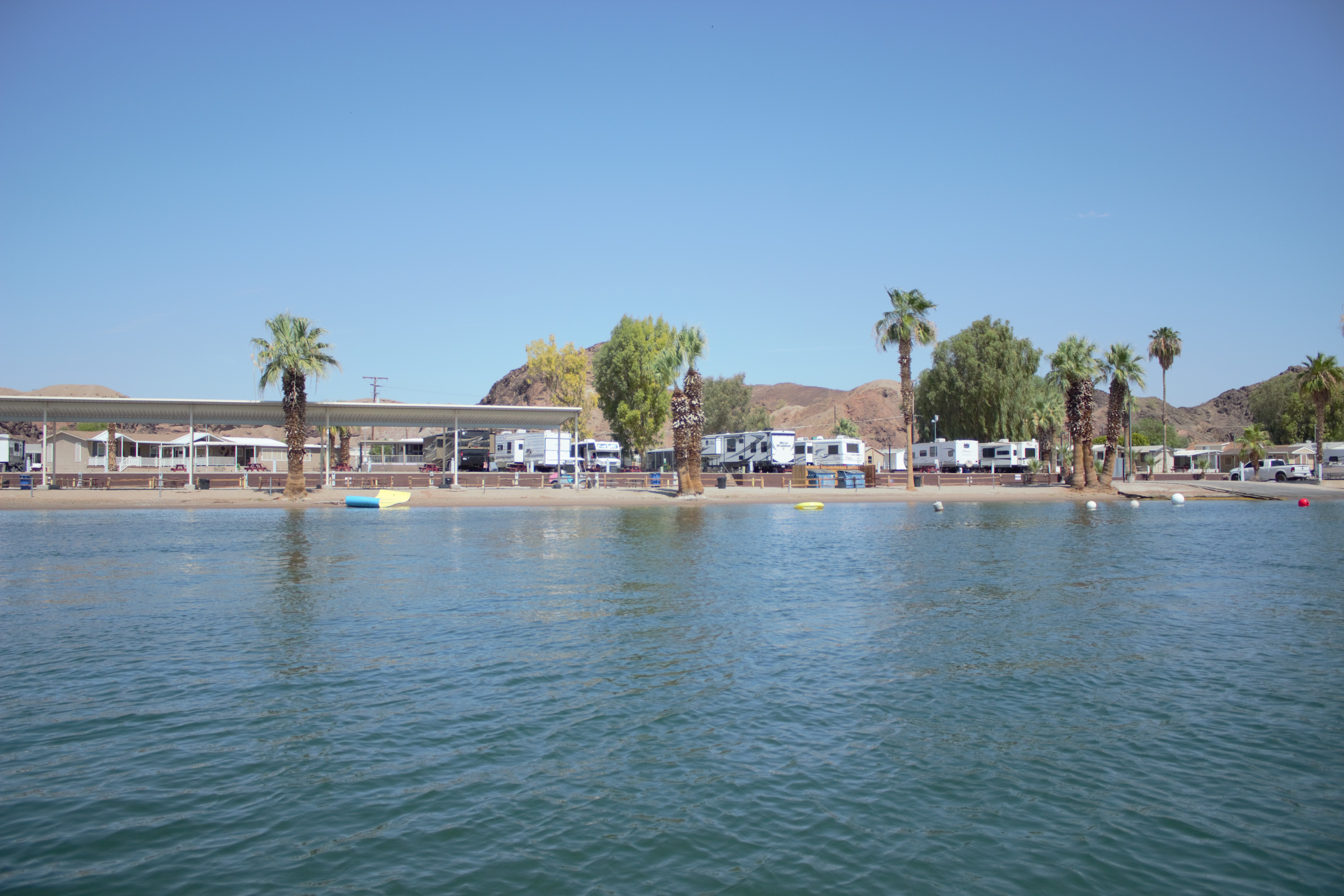 Anal Girl in Lake Havasu City