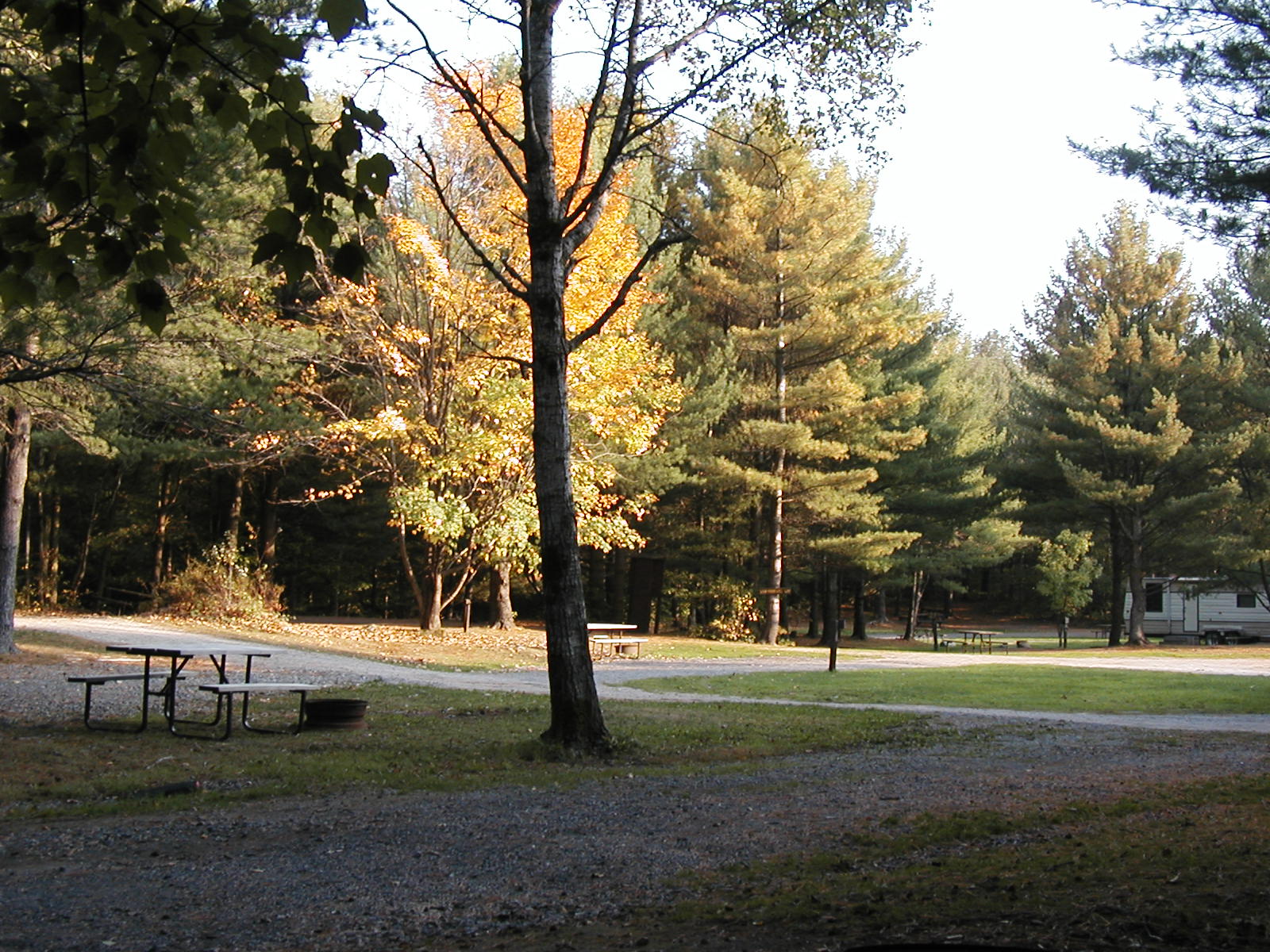 Seguin, Ontario RV Camping Sites Parry Sound KOA Holiday