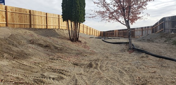 Starting to take shape