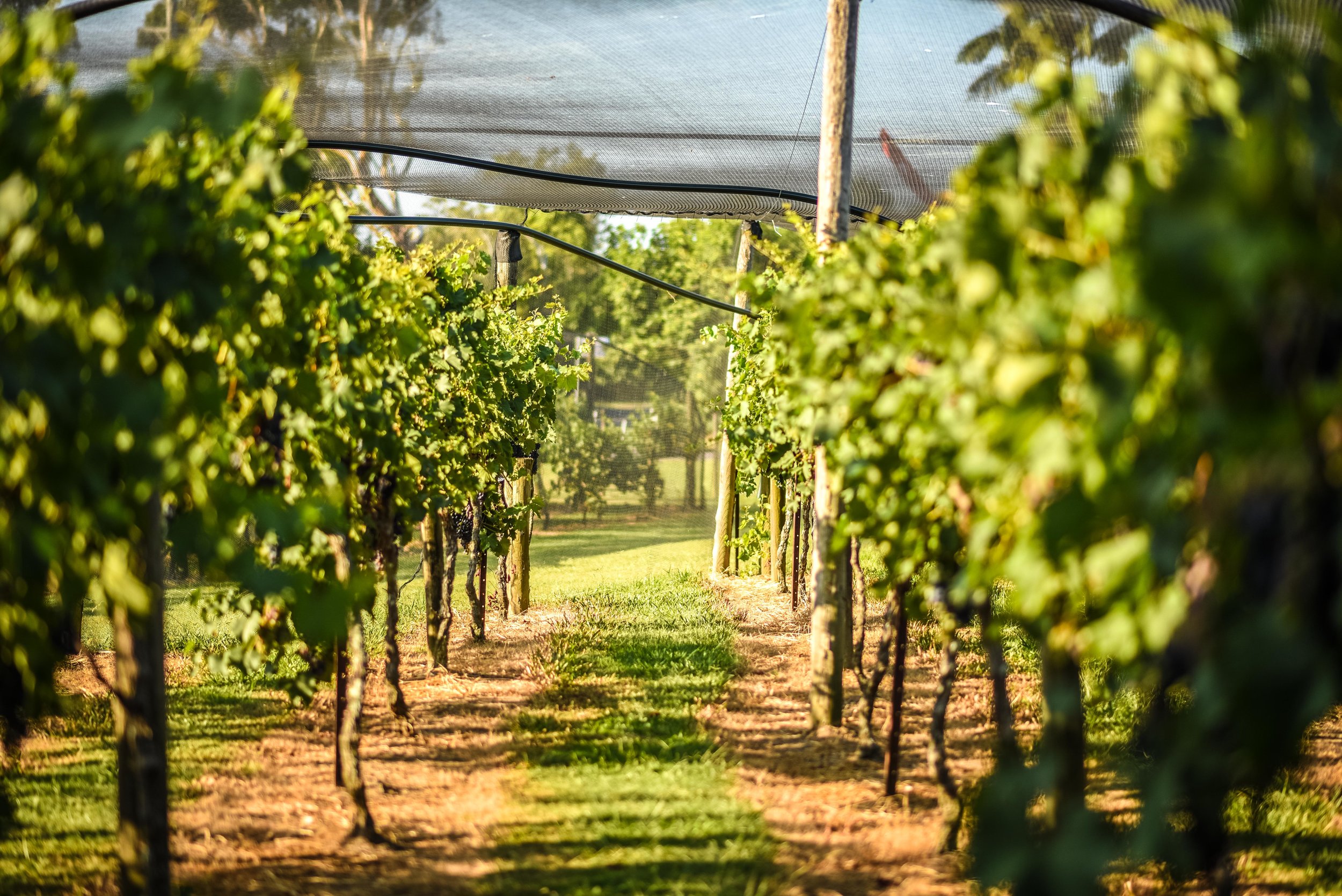 Pendleton, Oregon Campground Pendleton KOA Journey
