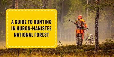 Hunting in Huron-Manistee National Forest