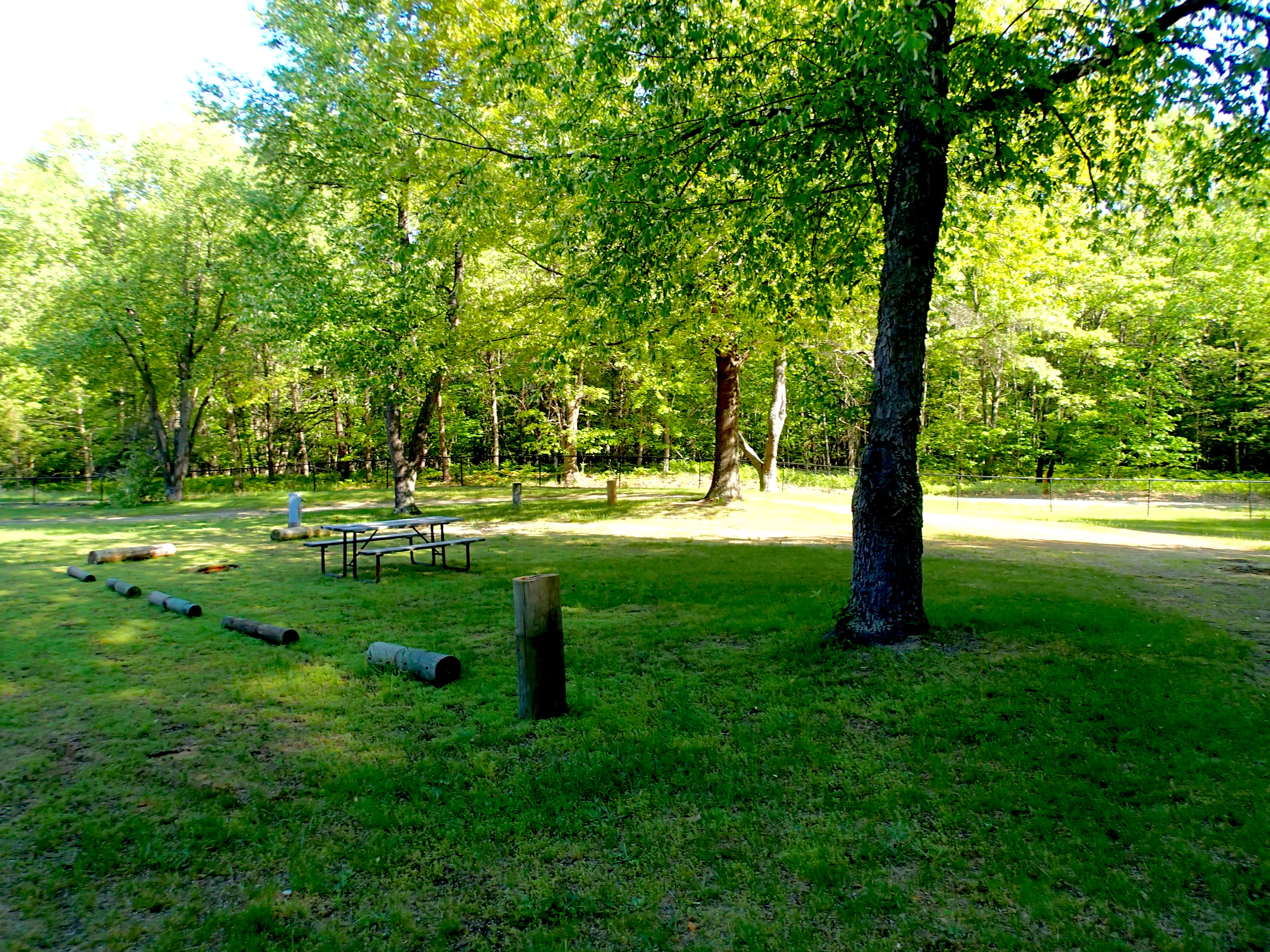 Branch, Michigan RV Camping Sites Ludington East / Pere Marquette