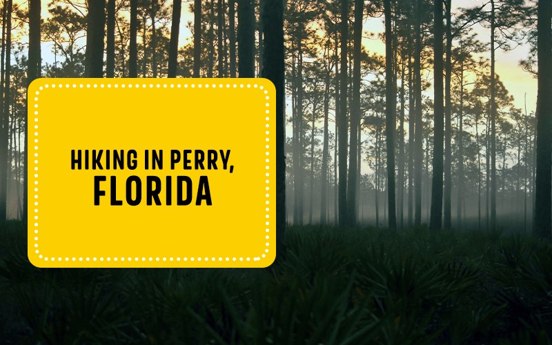 Hiking in Perry, Florida