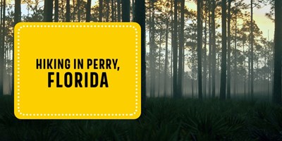 Hiking in Perry, Florida