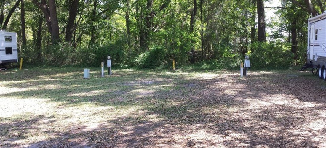 Water & Electric sites against the tree line