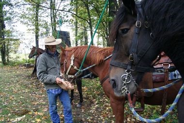 Horses & Hay Rides