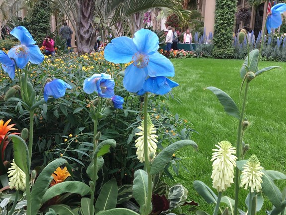 Longwood Gardens