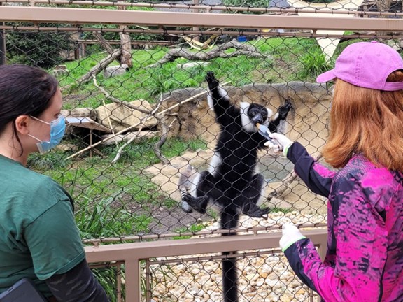 Brandywine Zoo