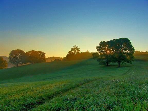 Stroud Preserve