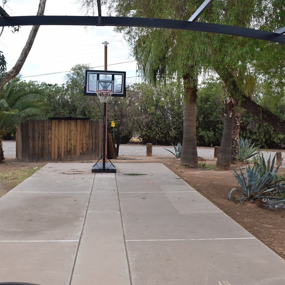 Basketball