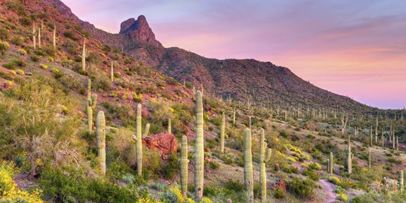 Picacho Peak State Park
