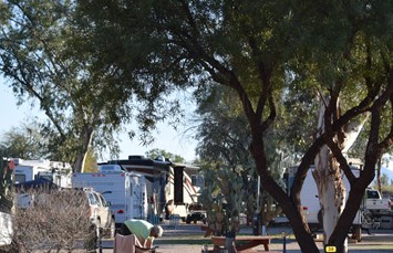 Picacho / Tucson NW KOA Journey Photo