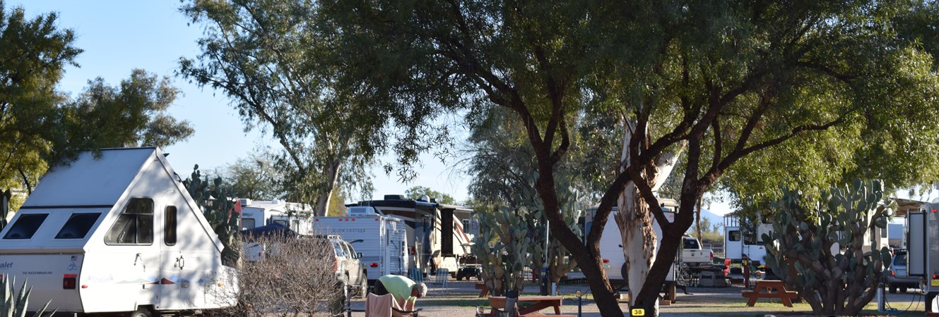 Picacho / Tucson NW KOA Journey
