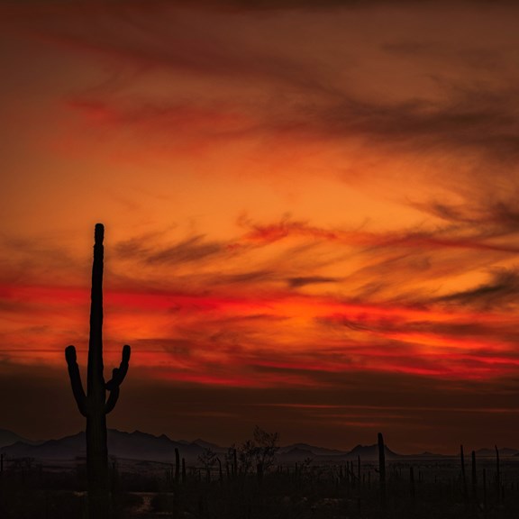 Plan a trip to Alhambra, Arizona