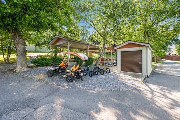 Bicycle Rentals