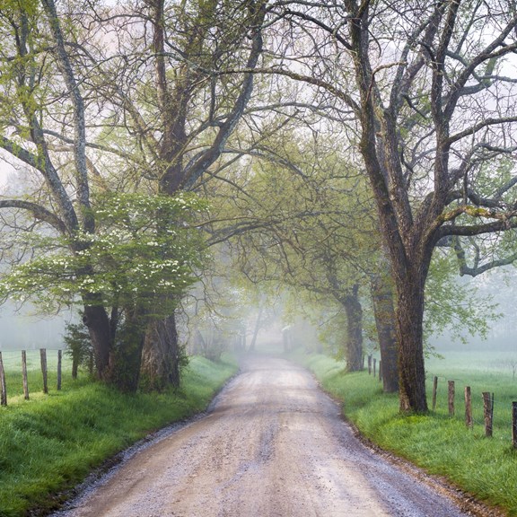 Cades Cove