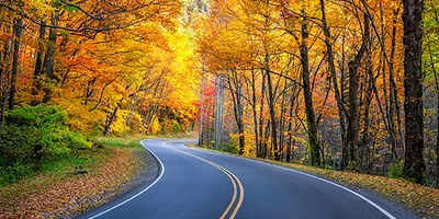 The Ultimate Guide to Leaf Peeping in Pigeon Forge, TN