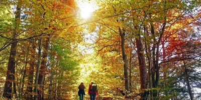 10 Of The Best Fall Hikes
