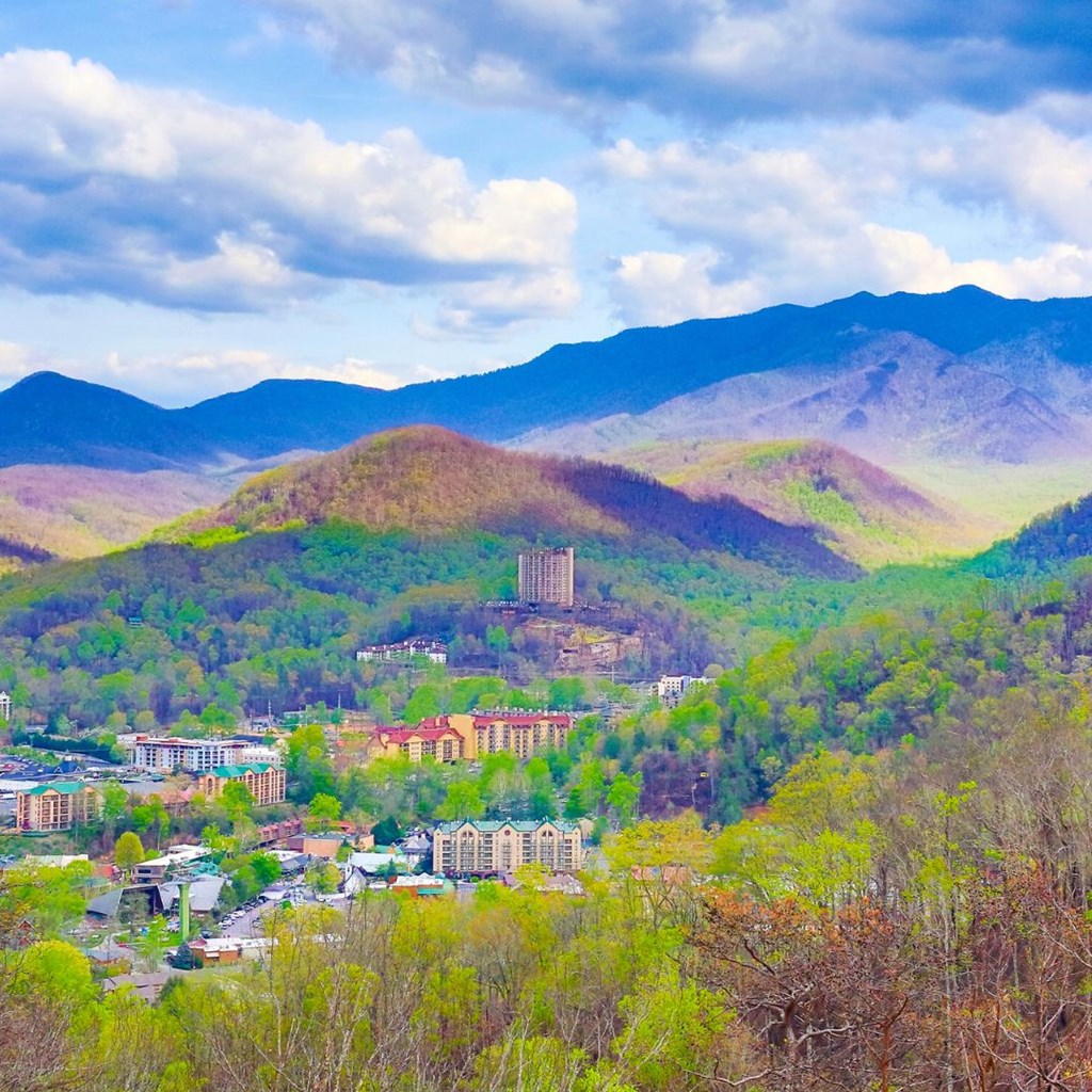 How to Take A Self-Guided Tour of Great Smoky Mountains