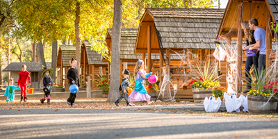 Halloween Weekends