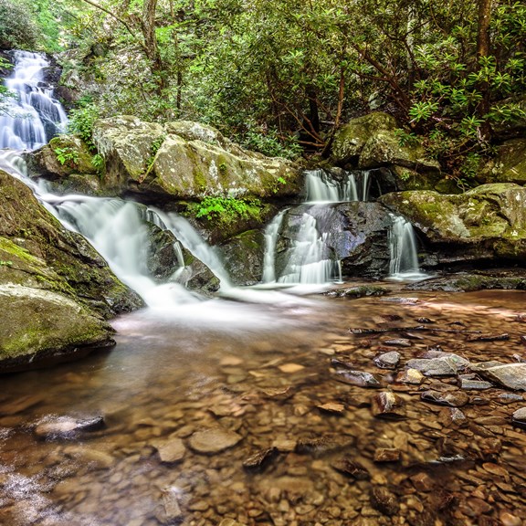 Plan a trip to Mars Hill, North Carolina
