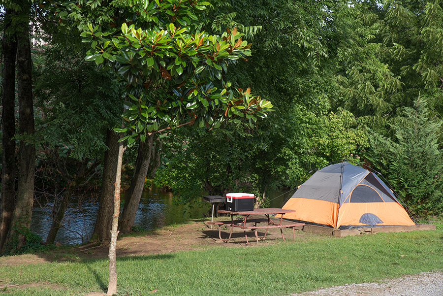 Tent Camping Site Types Pigeon KOA