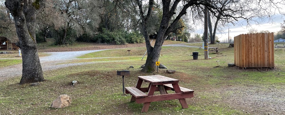 These sites are known as our Overflow Tent Sites. Most do not have sand pads for tents like our regular tent sites. Some have shade, some do not. They feature a picnic table, bbq grill, wifi access, and water nearby. Pictured is site 77 which accommodates a small tent and has a nice view of the dog park and fishing pond.