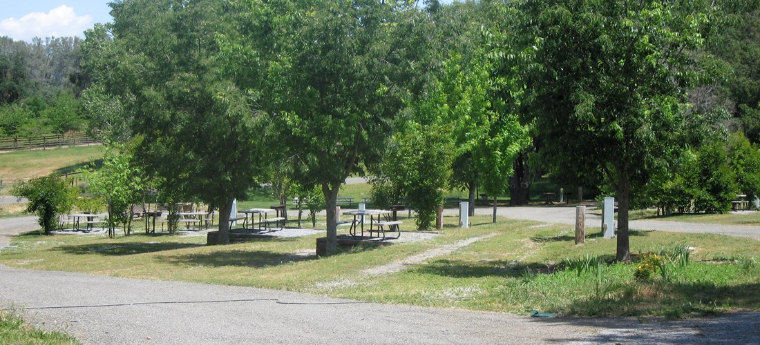 These are our water and electric 50 amp big rig sites. Most are anywhere from 70ft to over 100ft long. We refer to the area as Loop 2 and it's close to the finishing pond. All sites feature a picnic table, bbq grill, wifi access, and HD cable tv. Pictured is site 89, 90, 91, 92.