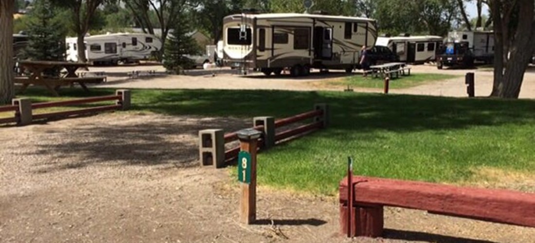 Center Row tents sites with nice green grass, fire pits, and trees. close to the restrooms, and store