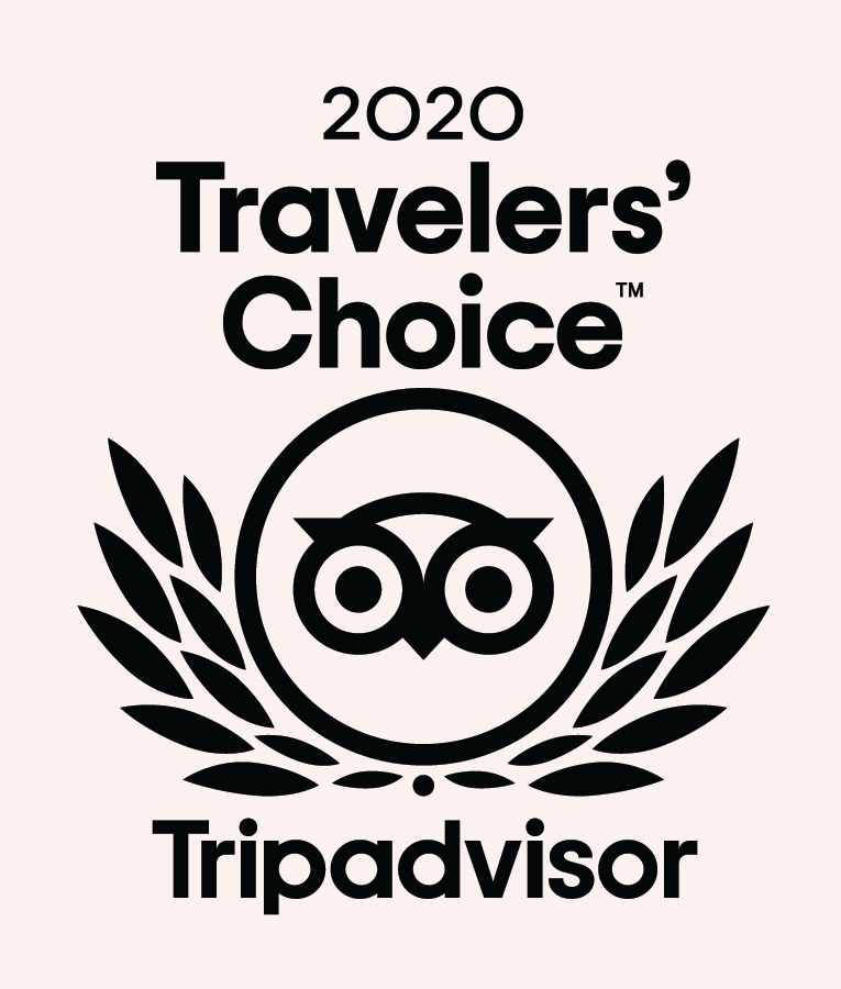 Travelers Choice Award 2020 from Trip Advisor