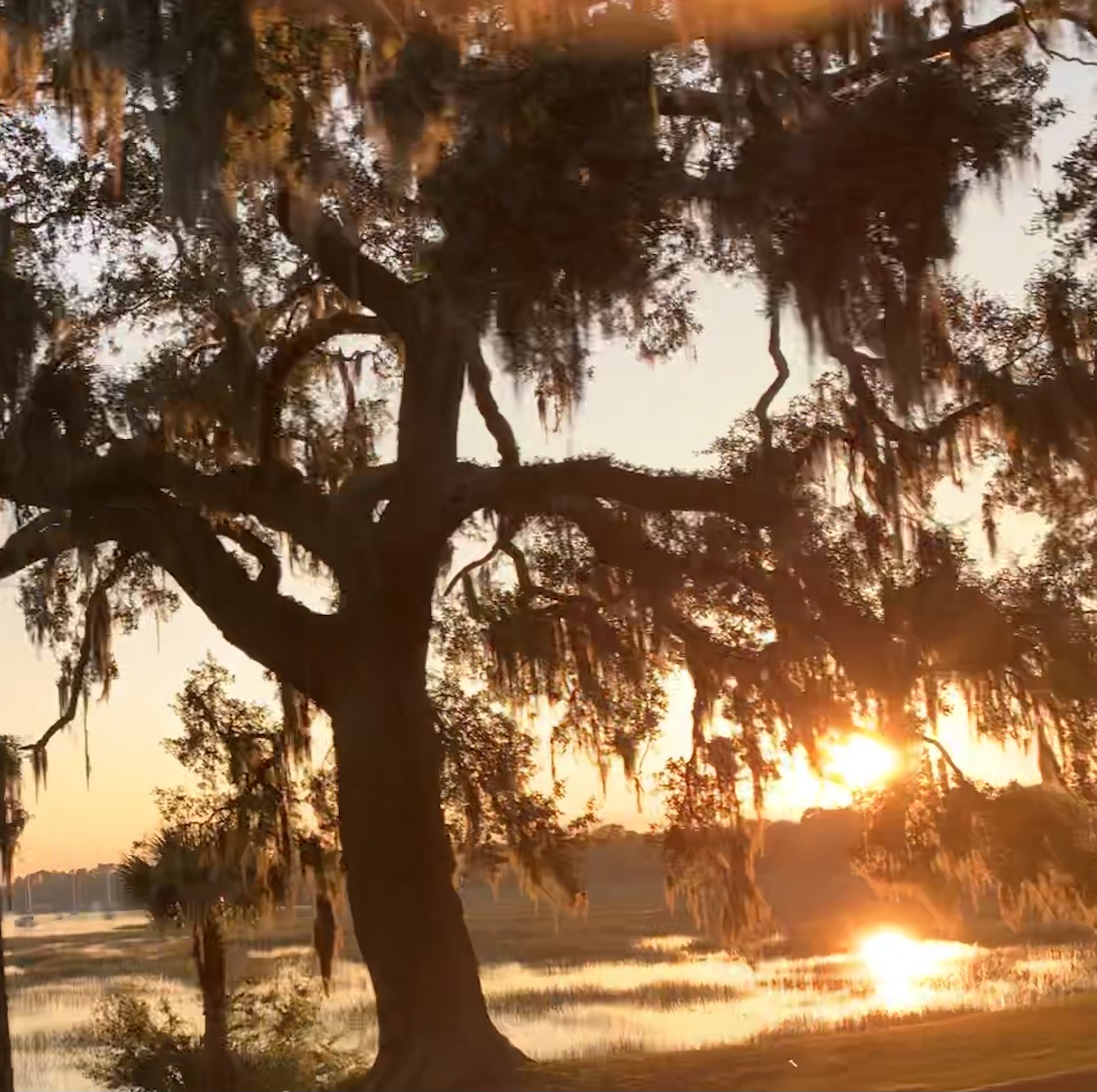 Coastal Discovery Museum ~ Hilton Head Island Photo