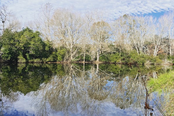 12 Acre Lake for walking adjacent to KOA property Photo